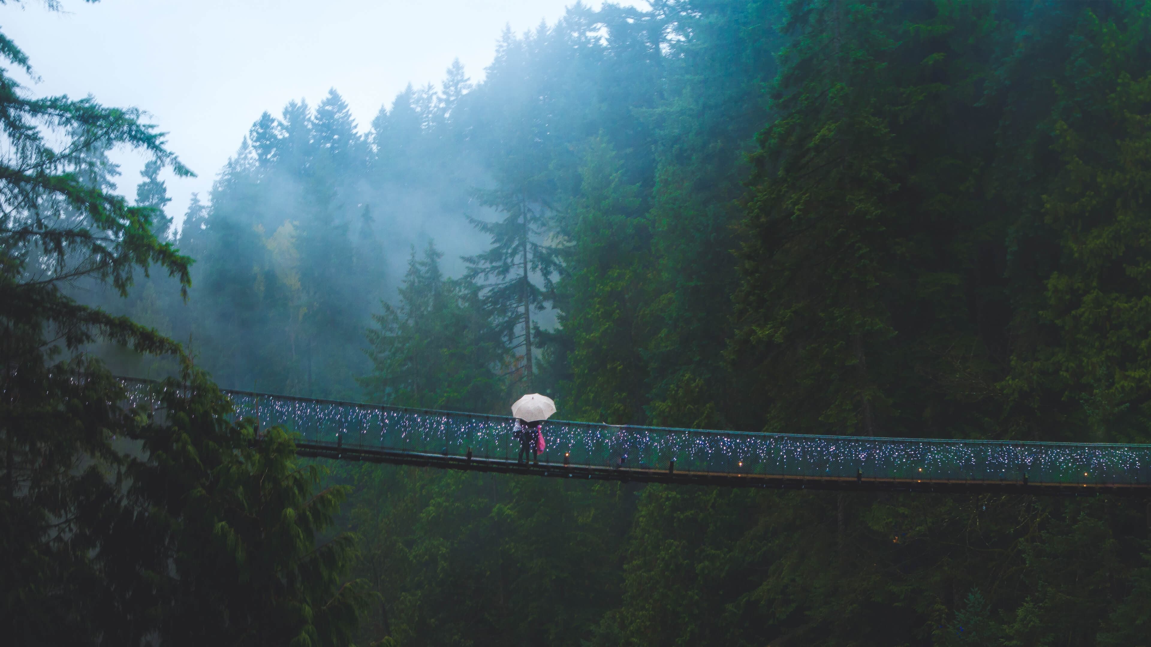 Capilano Bridge - Private Tours in Vancouver