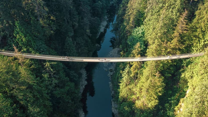 Capilano Bridge & Vancouver Private Tour