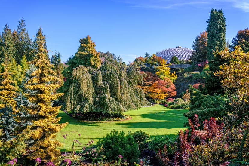 Queen Elizabeth Park & Vancouver Private Tour