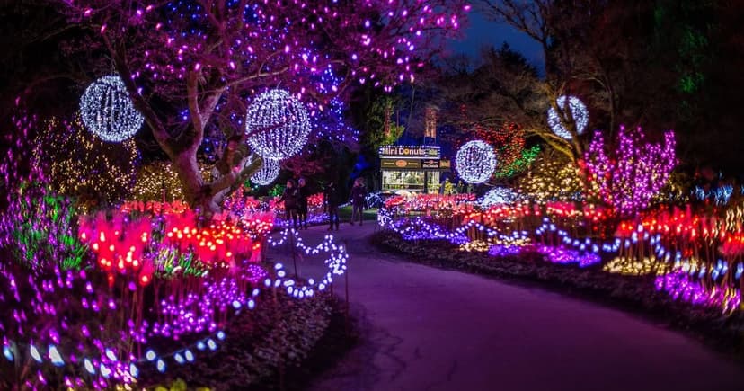VanDusen Festival & Night City Tour